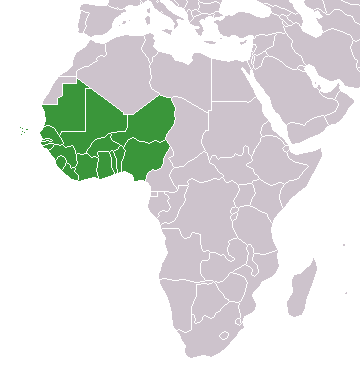Africa countries