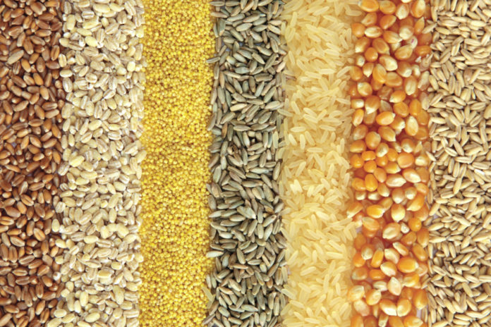 Focus on Uzbekistan wholegrains shutterstock