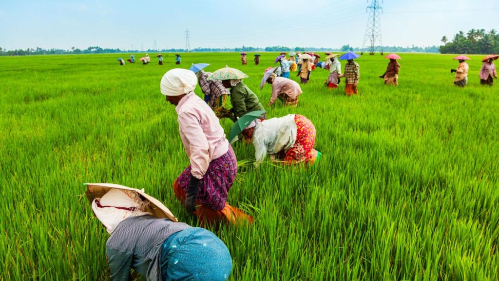 Plant Agriculture Great Master Vikrant Rohin Studies