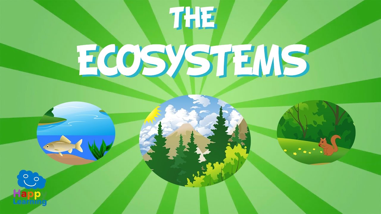 The Ecosystem