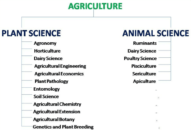 branches of agriculture