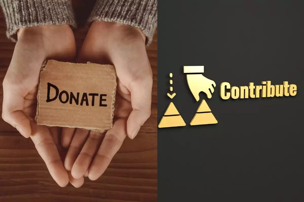 donation-vs.-contribution
