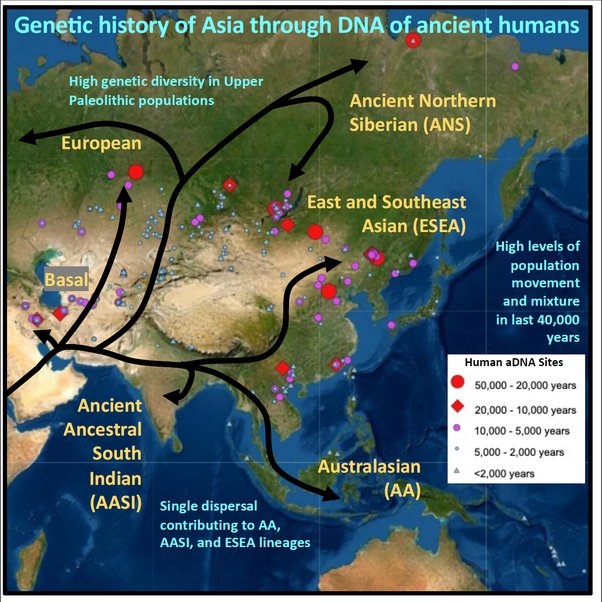 genetic history