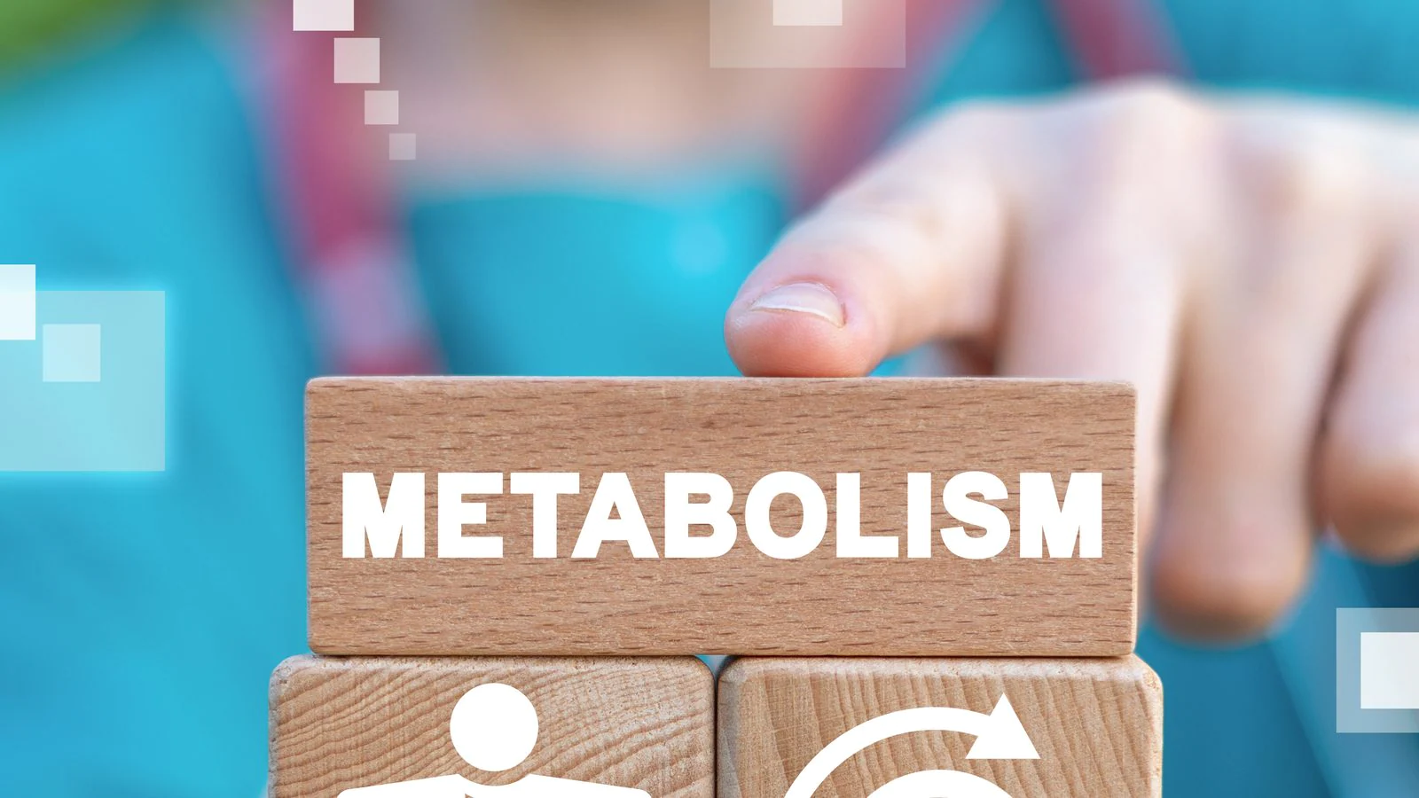 metabolism-165227431616×9