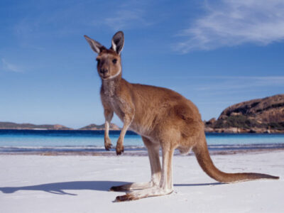 ANTARCTICA-AUSTRALIA-PACIFIC-HISTORY-GEOGRAPHY  